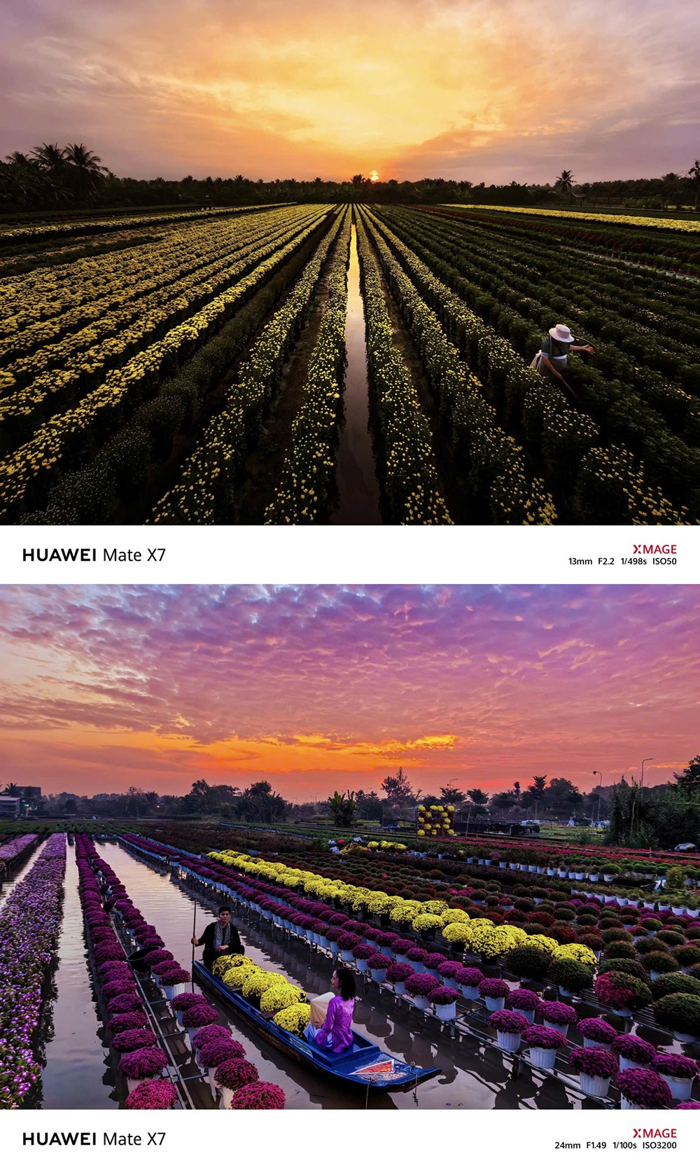 Hình ảnh: Trần Phương