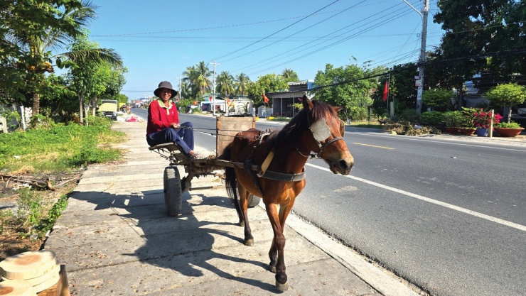 Tiếng vó ngựa lạc nhịp trên tỉnh lộ 948, vùng Bảy Núi, An Giang. Ảnh: Nhật Huy