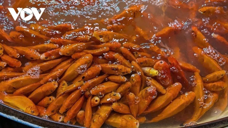 Khi chọn cá chép, người mua có thể quan sát phần mang: cá khỏe thường có mang đỏ tươi, trong khi mang sẫm màu là dấu hiệu cá yếu, dễ chết