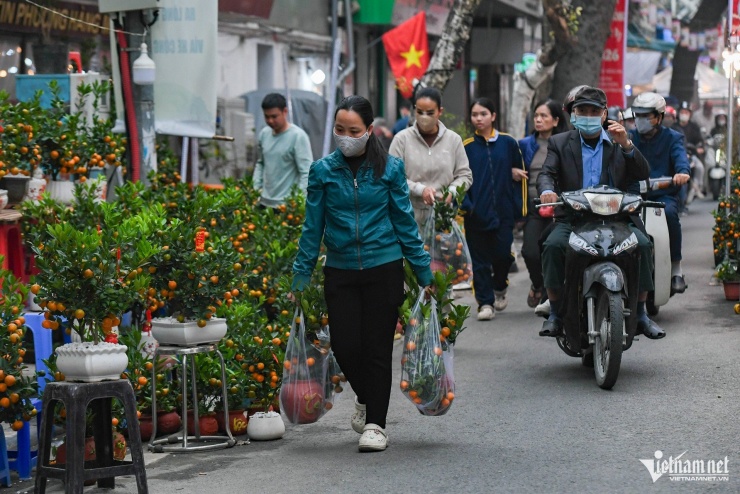 Cây cảnh siêu nhỏ, lạ mắt hút khách ở chợ hoa phố cổ Hà Nội - 3