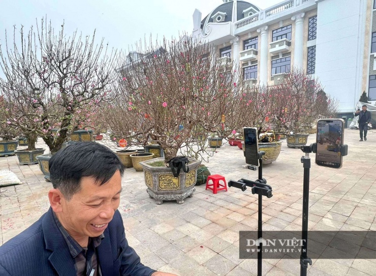 Tiểu thương Nguyễn Cường&nbsp;bật livestream bán đào tại chợ hoa Phú Thọ. Ảnh: Hoan Nguyễn