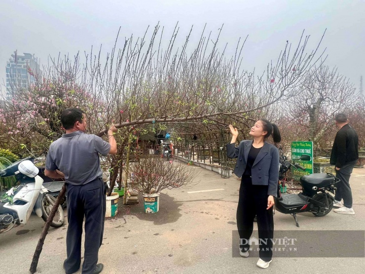 Chợ hoa tết ở khu vực Quảng trường Hùng Vương. Ảnh: Hoan Nguyễn