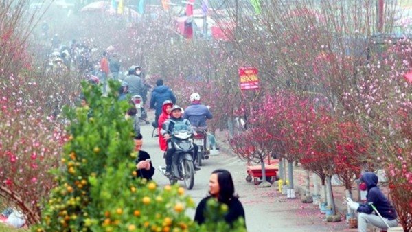 3 đợt không khí lạnh dồn dập nhưng Tết Nguyên đán ở miền Bắc vẫn nắng ấm, trời đẹp.