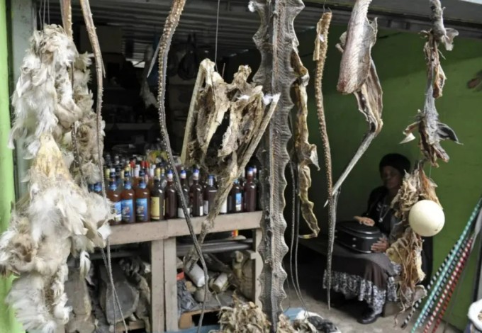 Các nguyên liệu làm muti được bày bán ở Nam Phi. Ảnh: AFP