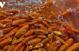 Cúng ông Công ông Táo: Chọn cá chép thế nào để đúng lễ, đúng phong tục?