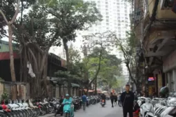 Chợ xe máy Hà Nội ảm đạm chưa từng có, tiểu thương tính bỏ nghề