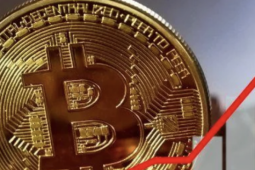 Thị trường tiền số hôm nay, 7-2: Hé lộ "ông lớn" âm thầm gom Bitcoin giữa lúc giá lao dốc