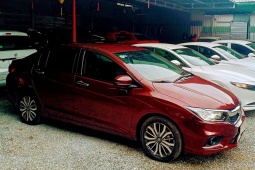 Thuê xe tự lái cuối năm tăng cao, hàng loạt cơ sở đều báo hết xe