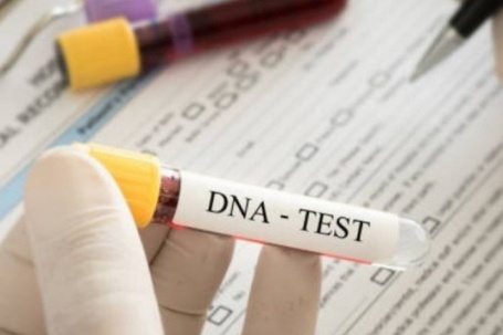 Xét nghiệm ADN ngày lễ: Từ niềm vui đoàn tụ đến bí mật gia đình bị phơi bày