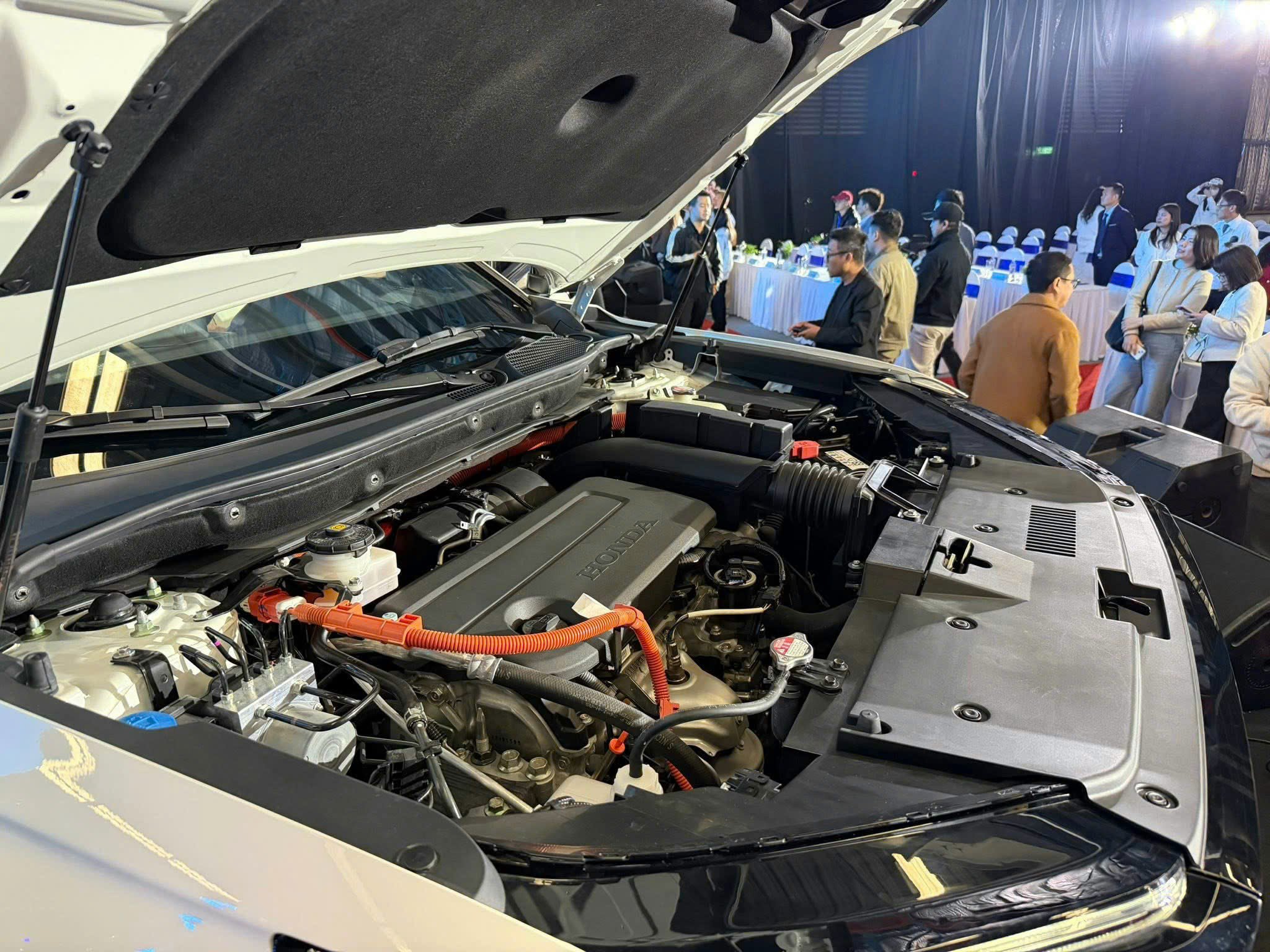 Thị trường ô tô Việt Nam chuẩn bị đón loạt xe điện và hybrid mới - 12