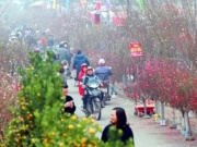 Miền Bắc đón 3 đợt không khí lạnh trước và sau Tết Nguyên đán