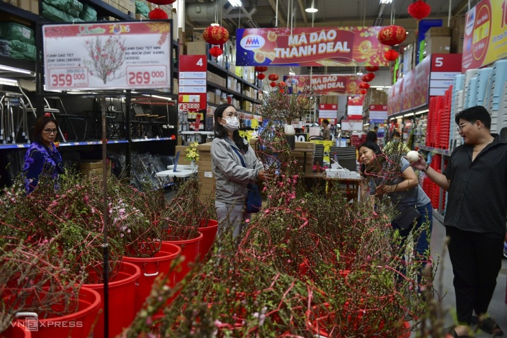 Cành đào bắc có giá từ 270.000 đồng đến 360.000 đồng tùy loại được bày bán nhiều trong siêu thị.