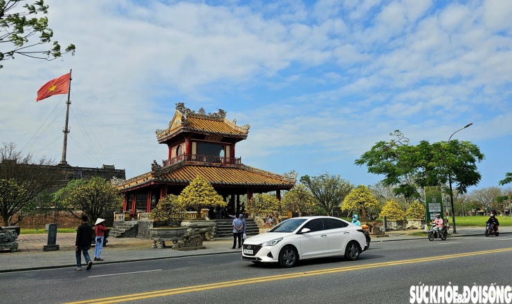 Ngày hội Hoàng mai Huế lần thứ 4 diễn ra tại không gian Nghênh Lương Đình - Phu Văn Lâu (từ ngày 4 đến 14/2) vừa khai mạc, mở đầu chuỗi hoạt động lễ hội mùa xuân của TP Huế, góp phần tạo nên không khí Tết cổ truyền đậm đà bản sắc văn hóa địa phương.