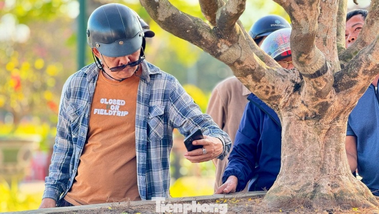 “Tôi không định giá cụ thể, nhưng cây mai này chắc chắn có mức giá tiền tỷ. Ai nhìn cũng thấy đẹp, nhưng nếu là người am hiểu các dòng mai, quan sát tổng thể từ gốc, thân, cành, tán cho tới độ liền lạc tự nhiên, sẽ hiểu vì sao...”, anh Hùng nói.