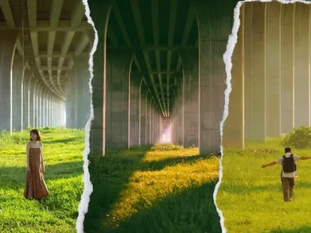 Lạc vào chốn “tuyệt đối điện ảnh” tại Đồng Tháp: Đồng cỏ xanh mướt đẹp ngỡ ngàng