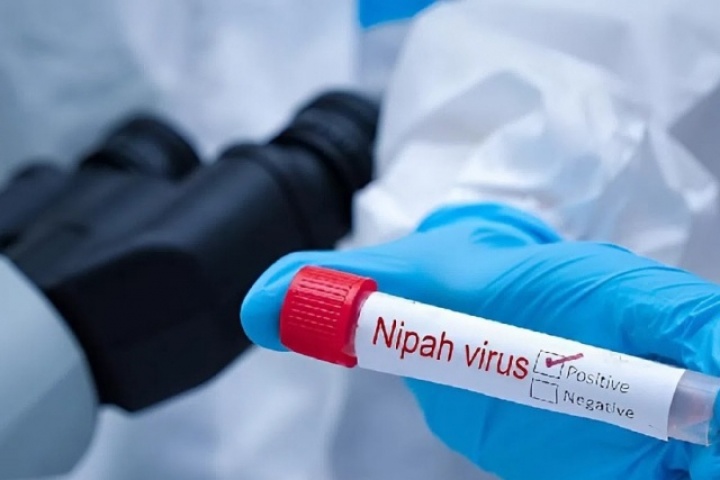 Một phụ nữ ở Bangladesh tử vong vì nhiễm virus Nipah