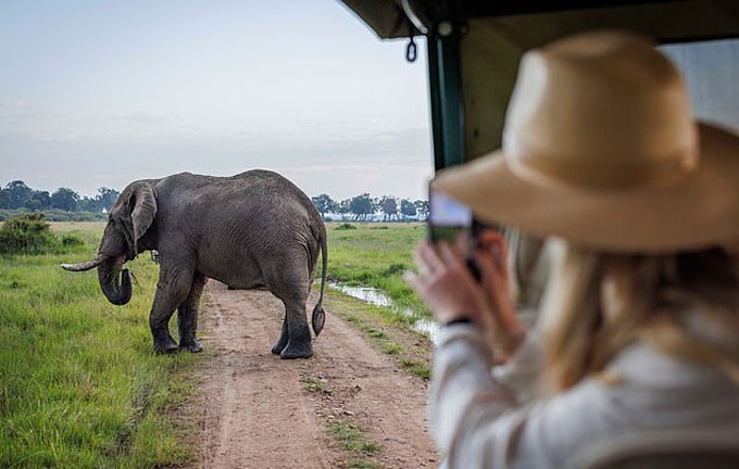 Ông Dean nhảy xuống sông để trốn đàn voi hung dữ. Ảnh minh họa: DM