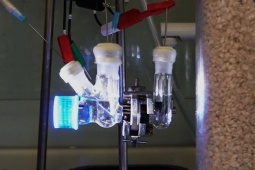 Biến CO₂ thành xăng bằng ánh sáng mặt trời: Giới khoa học Trung Quốc gây sốc