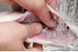 Bí quyết khử mùi tanh của cá: 8 cách dễ làm, hiệu quả tức thì