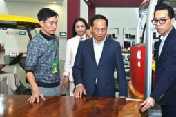 Ngắm phản gỗ quý Cẩm Lai ngàn năm tuổi nặng 6 tấn, giá trị hàng tỉ đồng