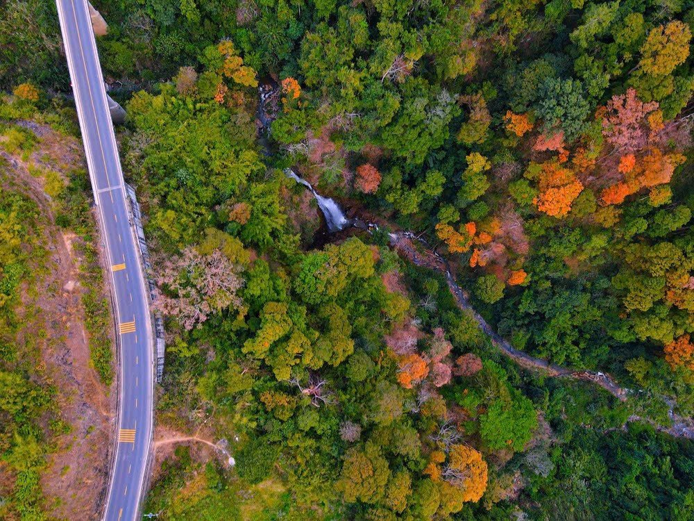 Vào thời gian này, nước suối Măng Đen trong veo, nhiều đoạn thác đổ trắng xóa giữa nền rừng đổi màu, càng làm nổi bật vẻ đẹp nguyên sơ của cảnh vật.