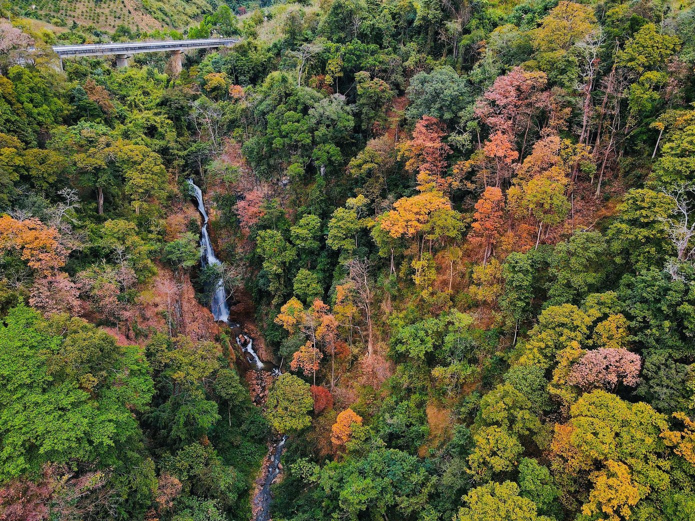 Vào thời gian này, nước suối Măng Đen trong veo, nhiều đoạn thác đổ trắng xóa giữa nền rừng đổi màu, càng làm nổi bật vẻ đẹp nguyên sơ của cảnh vật.
