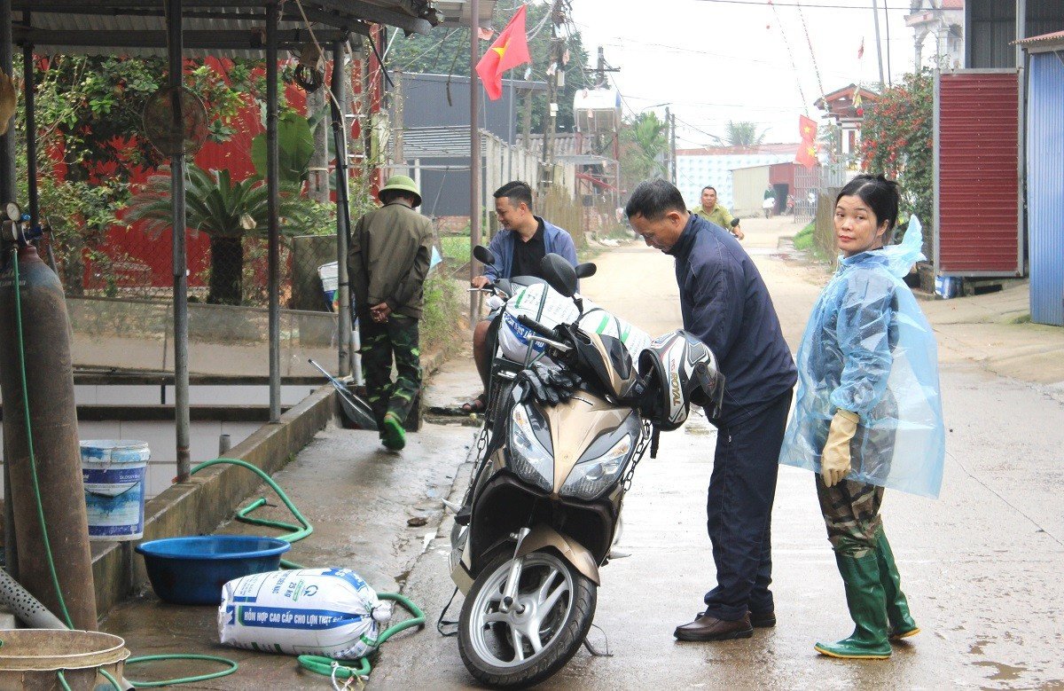 Theo một số thương lái, cá chép được chào bán theo con dao động từ 5-7.000 đồng/con. Thương lái kiểm tra cá trước khi đóng bể, chuẩn bị đưa lên xe tải vận chuyển tới các chợ đầu mối và điểm bán lẻ phục vụ Tết Ông Công, Ông Táo. Trong tín ngưỡng dân gian Việt Nam, lễ cúng ông Công, ông Táo ngày 23 tháng Chạp gắn liền với tục thả cá chép - linh vật đưa Táo Quân về chầu trời. Cá chép dùng để cúng thường là cá chép đỏ, khỏe mạnh, bơi linh hoạt, không trầy xước hay bong tróc vảy.