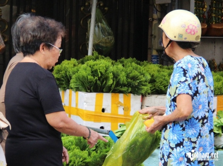 Người dân tìm mua lá bưởi, lá cây trắc bách diệp dịp cuối năm. Ảnh: Hà Nguyễn