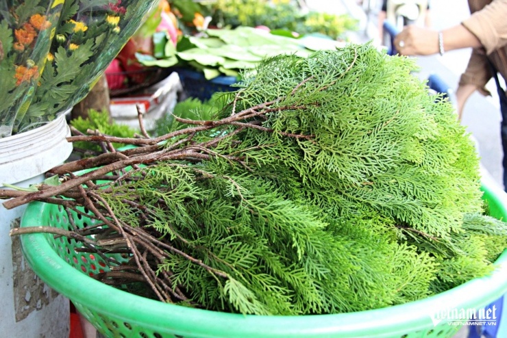 Nhiều người ở TPHCM tìm mua loại lá đặc biệt để ‘xả xui’, đón may mắn dịp Tết - 3