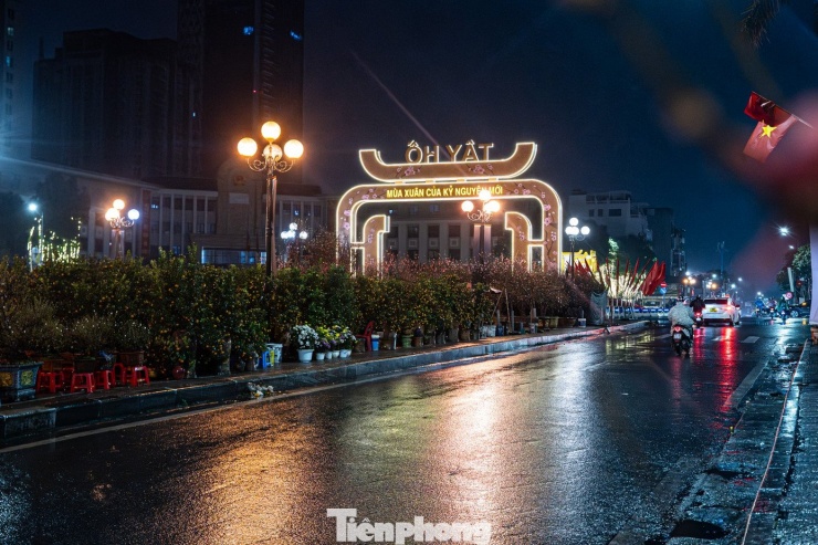 Hà Nội mưa rét thấu xương, tiểu thương trắng đêm trông đào quất - 10