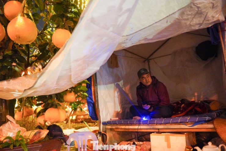 Hà Nội mưa rét thấu xương, tiểu thương trắng đêm trông đào quất - 9