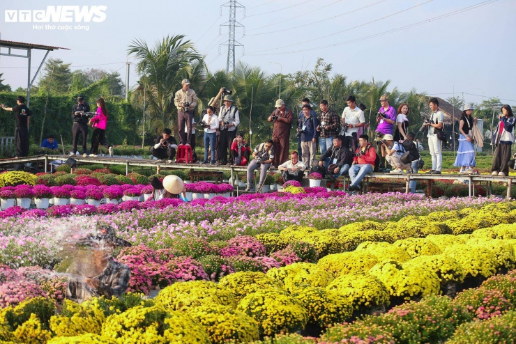 Làng hoa cũng thu hút nhiều nhiếp ảnh gia đến săn ảnh.