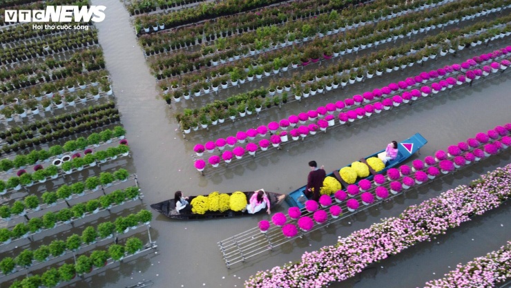 Hiện phường Sa Đéc có khoảng 4.000 hộ sản xuất hoa, kiểng với diện tích gần 946 ha; hơn 200 cơ sở kinh doanh và khoảng 2.000 chủng loại hoa, kiểng khác nhau.