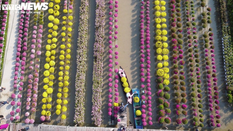 Mỗi năm, địa phương cung ứng ra thị trường khoảng 15 triệu sản phẩm hoa, kiểng. Không chỉ dừng lại ở sản xuất nông nghiệp, mô hình “vừa trồng hoa, vừa làm du lịch” đang được người dân Sa Đéc đẩy mạnh.