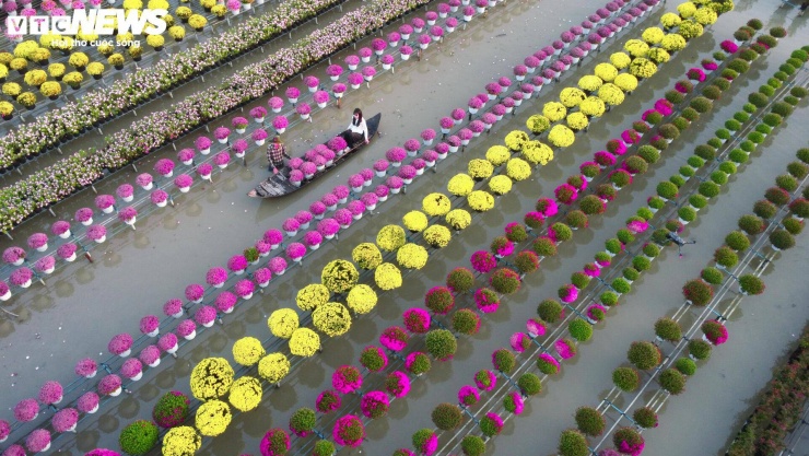 Việc mở cửa vườn hoa phục vụ khách tham quan được xem là hướng đi sáng tạo, góp phần đa dạng hóa sinh kế, nâng cao giá trị sản xuất và từng bước xây dựng làng hoa Sa Đéc trở thành điểm đến du lịch đặc trưng của tỉnh Đồng Tháp, hướng tới phát triển bền vững trong tương lai.