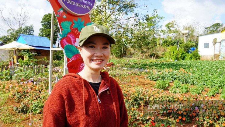 Trồng cây tà tà mặt đất, ra quả mọng hình trái tim, khách kéo nhau đến hái, cô nông dân Quảng Trị thu nhập cao - 9