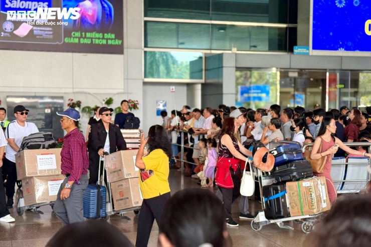 Kiều bào về quê ăn Tết trong sự chào đón của người thân.