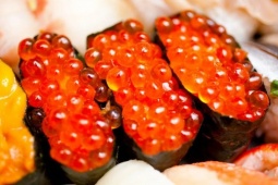 Tin tức sức khỏe - "Nhân sâm dưới nước" siêu đắt đỏ, nhiều người săn lùng vì công dụng dưỡng phổi cực hiệu quả