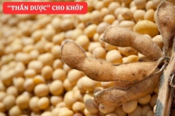 Tin tức sức khỏe - “Tái sinh” khớp gối với món ăn đại bổ giúp xương khớp cử động trơn tru