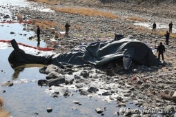 Hàn Quốc: Rơi trực thăng quân sự, phi hành đoàn thiệt mạng