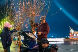 Hà Nội mưa rét thấu xương, tiểu thương trắng đêm trông đào quất