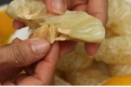 Bưởi rất tốt, nhưng kết hợp với thứ này chẳng khác nào độc dược tàn phá gan