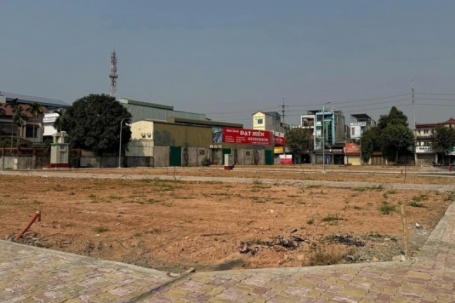 Đất đấu giá vùng ven Hà Nội trúng cao nhất 164 triệu một m2