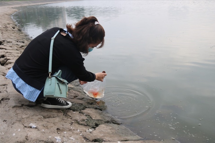 Nhiều người băn khoăn làm sao để thả cá ngày ông Công ông Táo về chầu trời cho đúng cách. Ảnh: Hồng Nhật