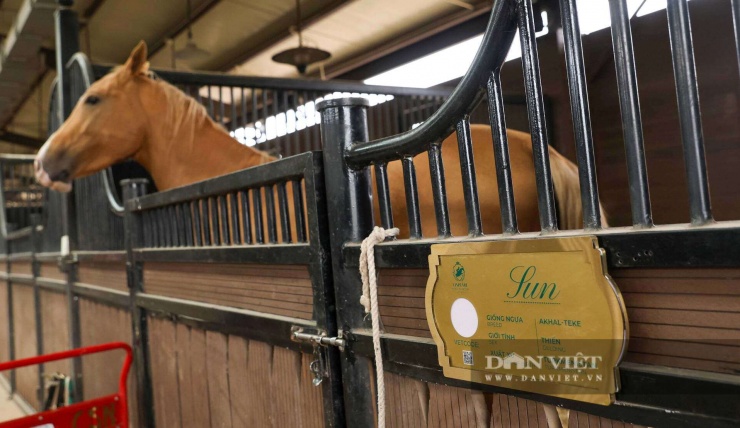 Giống ngựa Akhal Teke có nguồn gốc từ Trung Á, chúng có chiều cao khi đứng thẳng trung bình từ 1,9 đến 2 mét; chiều cao tính đến đỉnh u vai từ 1,5 đến 1,6 mét; mỗi chú ngựa đều có tên, hộ chiếu riêng trên lý lịch ngựa quốc tế.&nbsp;Akhal Teke là thiên mã đẹp nhất thế giới, có giá triệu đô mỗi con.