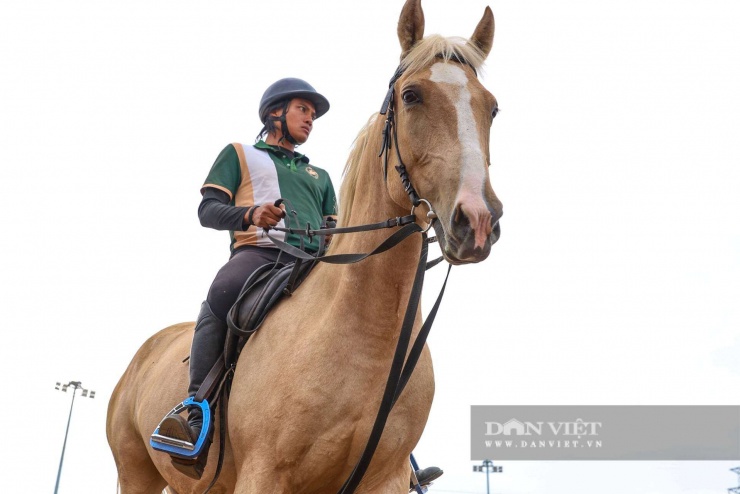 Trong ảnh là chú ngựa Akhal Teke tên Aura.&nbsp;Akhal Teke từng là thú cưỡi cùng Alexander Đại Đế chinh phạt khắp các châu lục. Giống ngựa quý hiếm này còn được gọi là "Hãn huyết bảo mã" có mồ hôi đỏ như máu hay "Pegasus" - thiên mã trong thần thoại Hy Lạp.