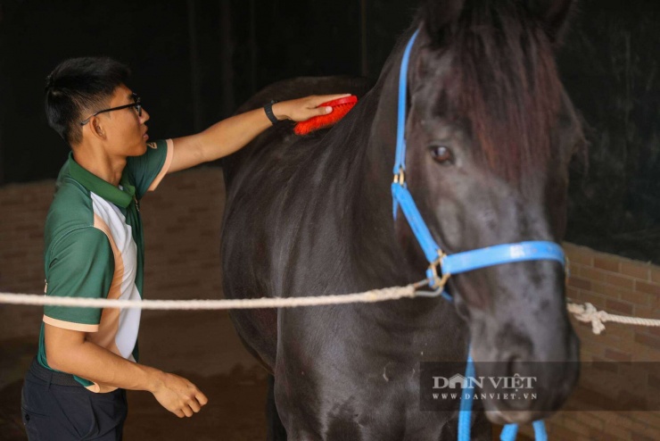 Học viện này được xây dựng với 300 chuồng chăm sóc ngựa chuyên nghiệp, bệnh viện thú y cao cấp, khu máy tập, đóng móng cho ngựa, các khu tập luyện cho mọi cấp độ chuyên nghiệp, bán chuyên và khu dành cho người mới bắt đầu.