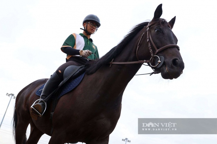 Ngoài giống ngựa Akhal Teke, Học viện còn có những giống ngựa hiếm khác như Quarter, Fresian… hay giống ngựa lùn Pony..