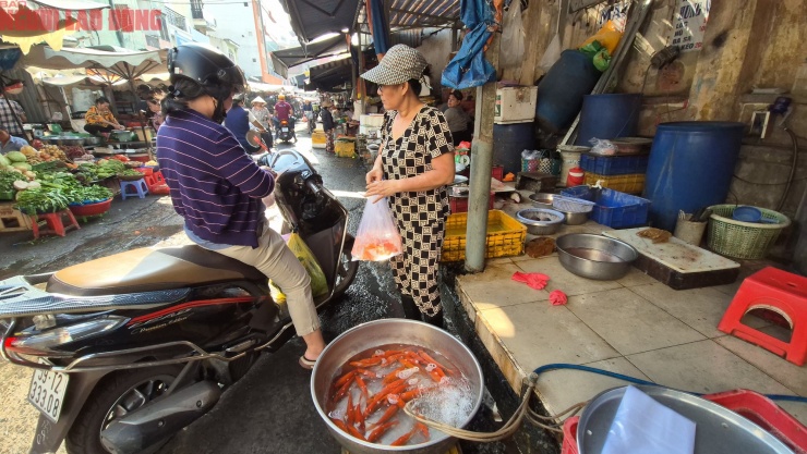 Người tiêu dùng mua cá chép cúng ông Táo