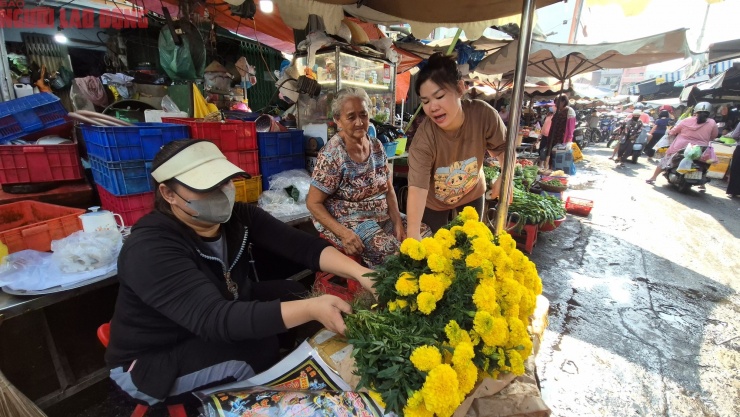 Hoa vạn thọ 15.000 đồng/cây